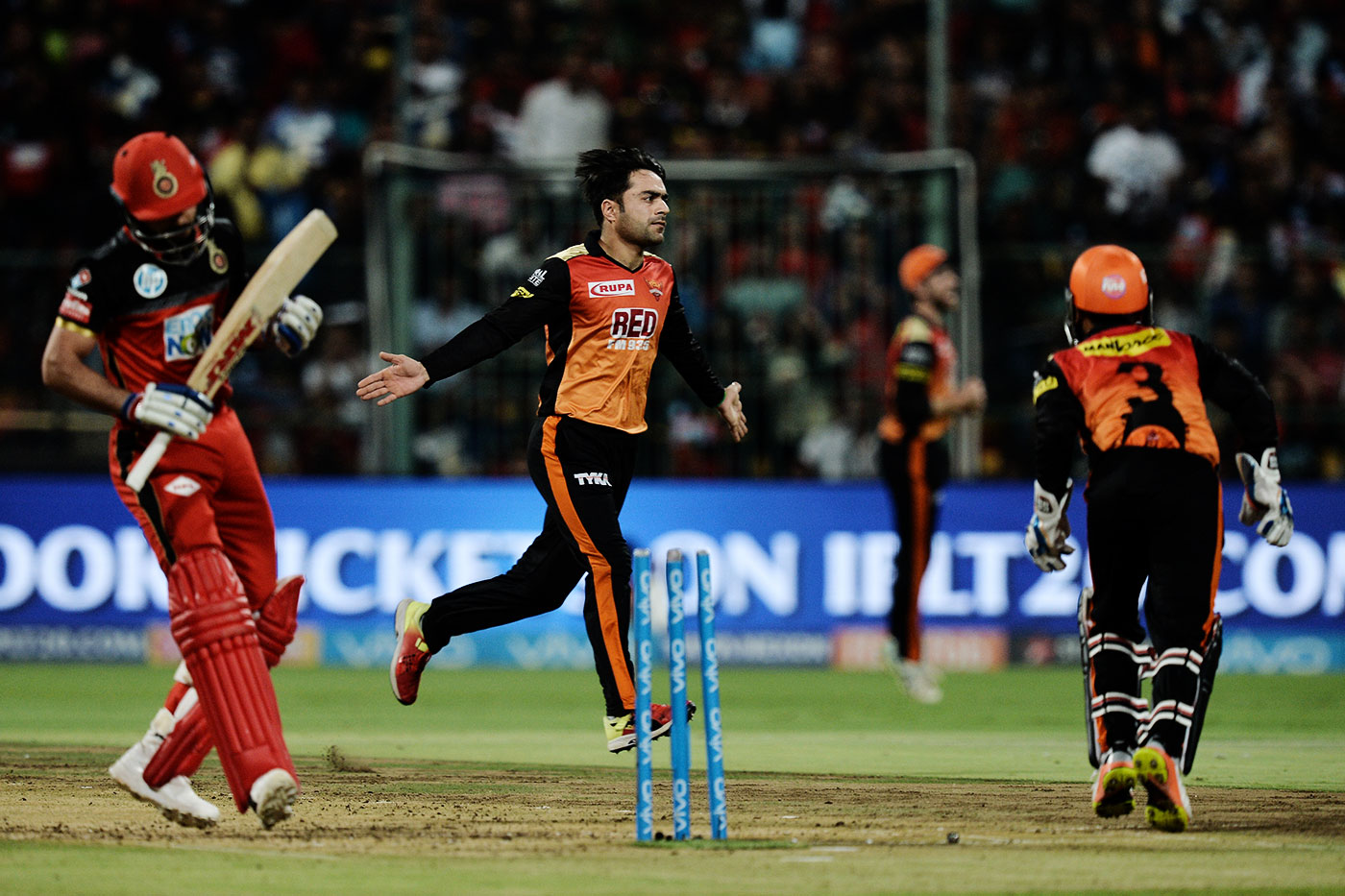Rashid Khan celebrates the wicket of Virat Kohli