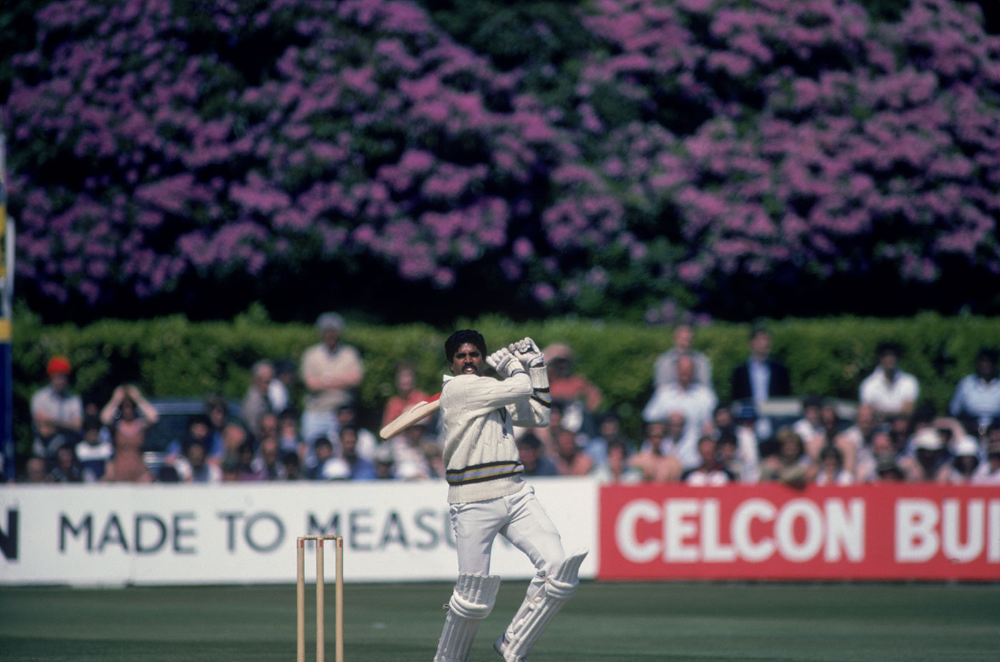 Flowering inferno: Kapil unleashes violence against the rhododendrons at Nevill Ground