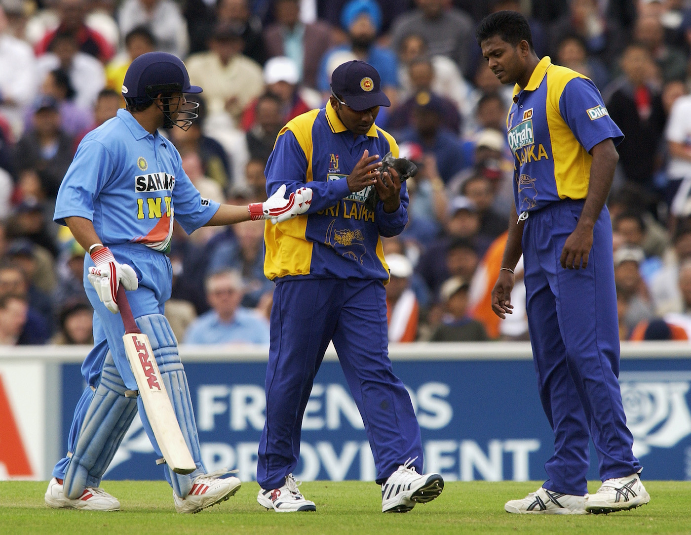 Sachin Tendulkar hit a pigeon during a match against Sri Lanka in the 2002 NatWest series at the Oval, but the bird lived to tell the tale