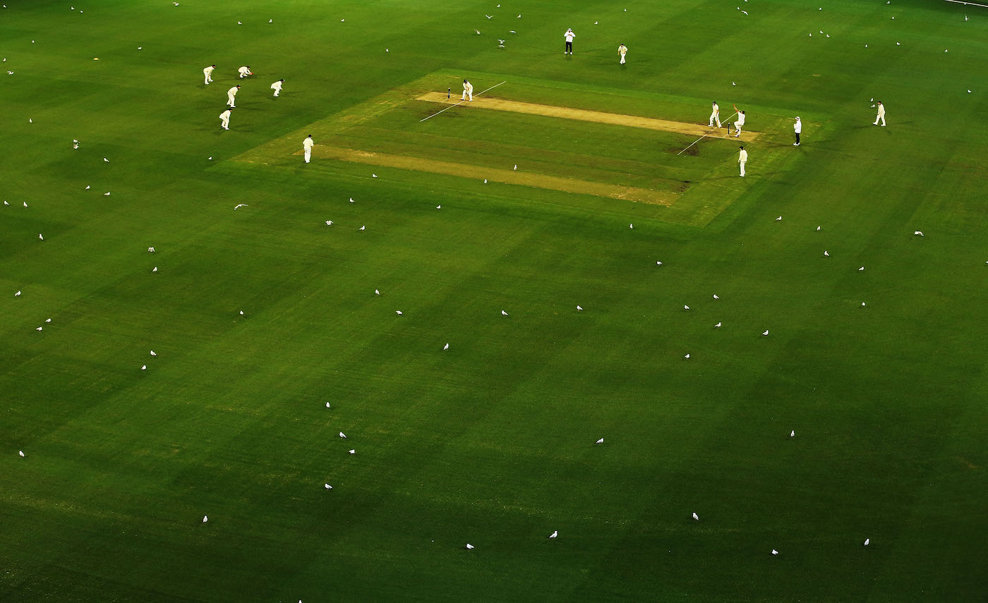 There are a few too many fielders in this Tasmania vs Victoria match
