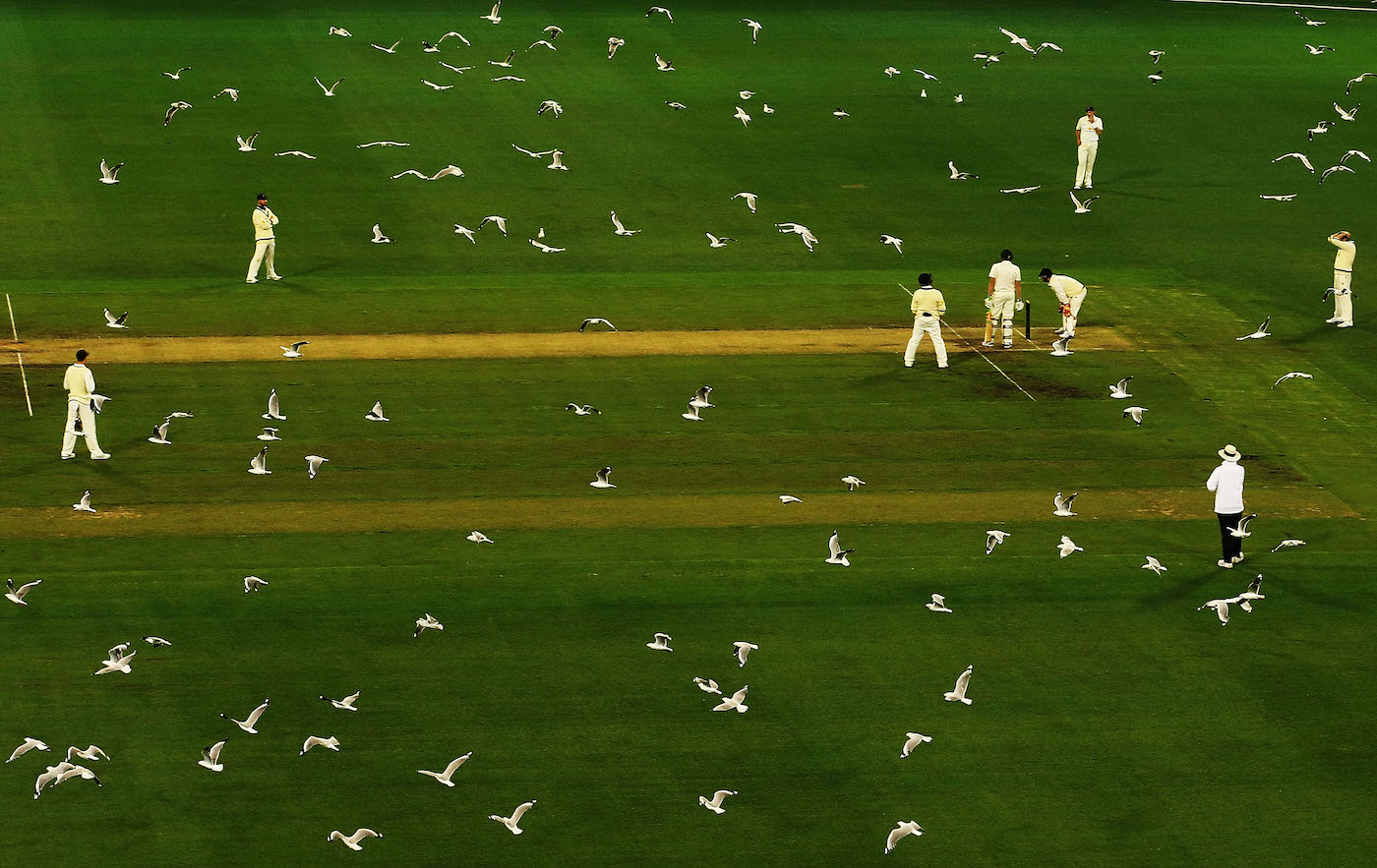 It's a flocking pitch invasion