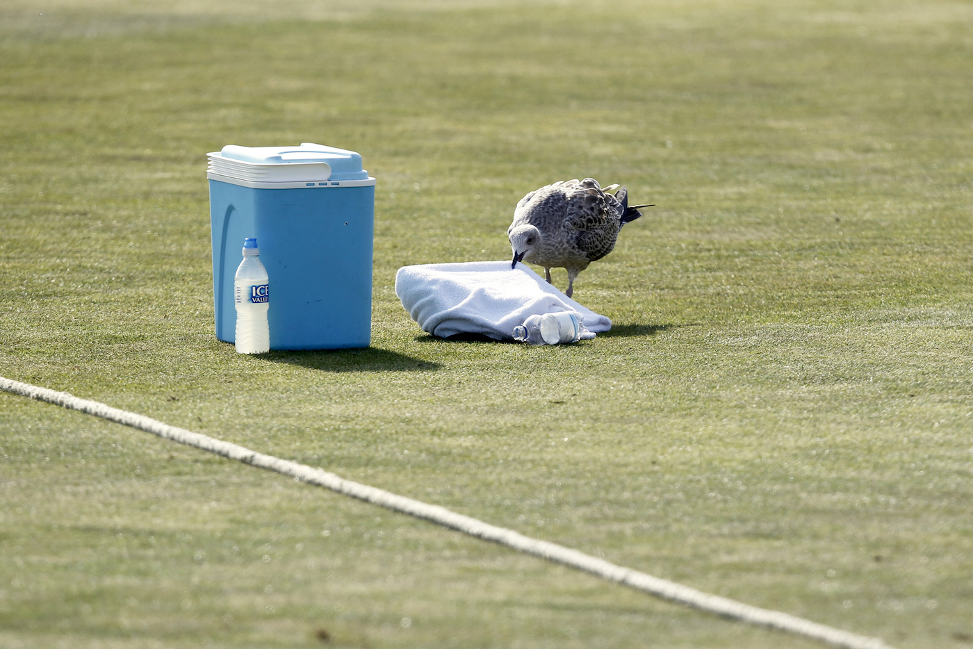 Everyone needs a drink and a towel after an exhausting game of cricket